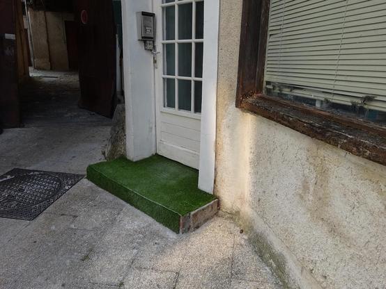 une porte avec une marche pour entrer qui est recouverte d'une moquette en faux gazon