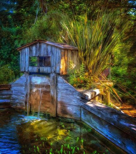 Blake's Pond! The structure on the pond is really a clever chicken coop. Unfortunately, the chickens have flown the coop! Nowhere to be found! Prints and more at:  https://pixels.com/featured/blakes-pond-house-thom-zehrfeld.html #ChickenCoop #puzzle  #puzzlelover #ArtWork #Art #BuyIntoArt #WallArtForSale #Gift #HomeDecor #Nature #Photography #Fotografie #ArtForSale  #MastoArt #Mastodon #ArtforInteriorDesign  
#InteriorDesign #InteriorDecorating #WallArtForSale #PhotoOfTheDay #FediGiftShop  #GiftIdeas #FediArt #Prints #FediArtShop