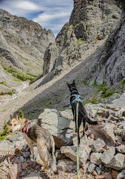 heading back from Rimrock Lake thru the steepest narrowest canyon section. truly amazing. 