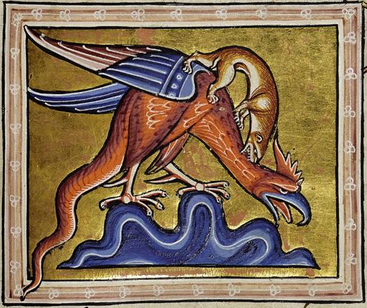 A red basilisk with a long snake tail and a long-necked bird head with a large comb and an open blue beak. It has shield like wings and has a brown weasel standing on its back biting its neck.