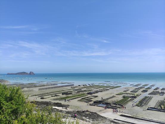 Vue panoramique sur un paysage marin à marée basse, avec des parcs à huîtres bien alignés s'étendant sur l'estran, sous un ciel bleu lumineux. À l'horizon, une mer turquoise parsemée de bateaux et un îlot rocheux qui semble veiller sur la côte. Des promeneurs arpentent les allées entre les installations ostréicoles, baignés de soleil