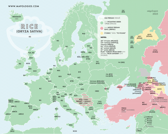 etymology map of rice