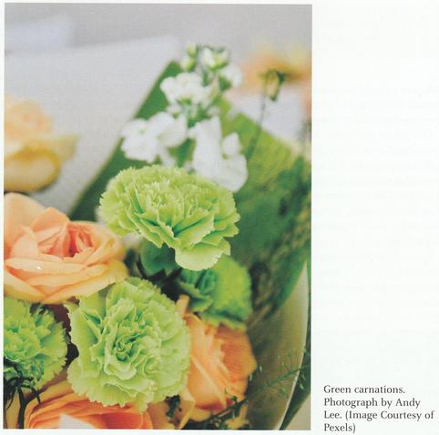 Colour photograph (by Andy Lee) of green carnations which features in 50 LGBTQ+ Finds from the Portable Antiquities Scheme by Ben Paites.