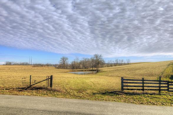 Open Field With Wooden Gate and Pond 
A tranquil countryside scene features an open gate leading to rolling fields under a sky filled with scattered clouds.