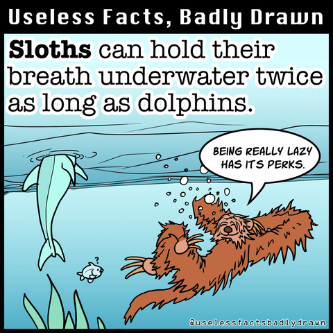 Sloths can hold their breath underwater twice as long as dolphins.