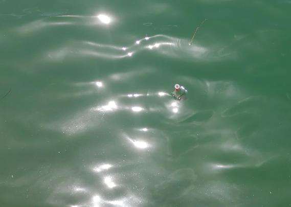 Im Wasser schwimmt eine offene Glasflasche - drum herum schillern Lichtreflexe auf den Wellen