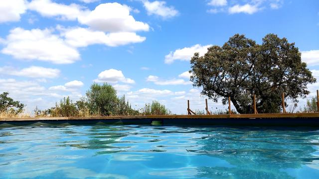 View from inside Bubulcus & Bolotas pool looking out at a sunny natural landscape with a large holm oak tree, cistus shrubs, and a bright blue sky dotted with fluffy white clouds. A wooden pool deck runs along the horizon.