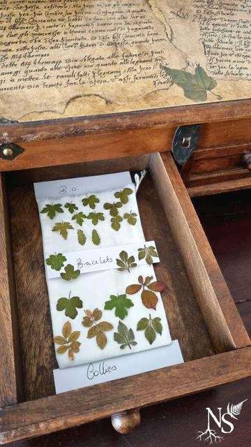 English A wooden cabinet decorated with calligraphic text. A drawer is opened, revealing pressed leaves of various species (maple, bramble, oak, wild rose). They are grouped next to papers indicating “earrings”, "bracelets" and “necklaces”.
Français Un meuble en bois décoré de texte calligraphié. Un tiroir est ouvert et laisse apparaître des feuilles pressées de différentes espèces (érable, ronce, chêne, églantier). Elles sont regroupées à côté de papiers indiquant "boucles d'oreille", "bracelets" et "colliers".