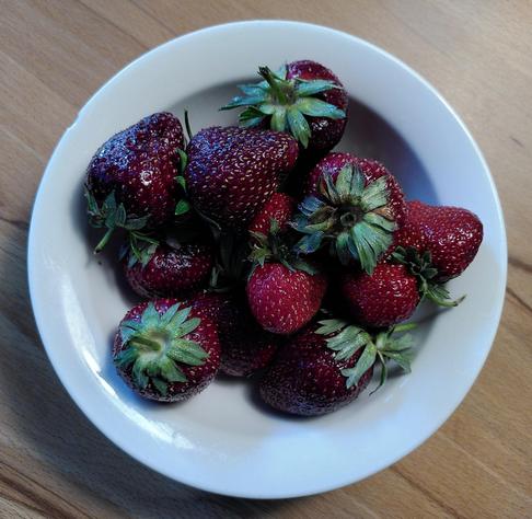 Teller mit dunkelroten Erdbeeren, die noch grüne Ansätze dranhaben.