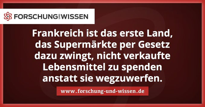 Frankreich ist das erste Land,
das Supermarkte per Gesetz
dazu zwingt, nicht verkaufte
Lebensmittel zu spenden
anstatt sie wegzuwerfen.
www. forschung-und-wissen.de
