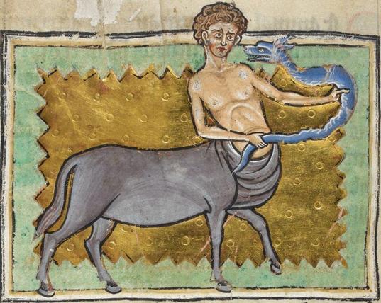 An alarmed looking curly-haired centaur with jug ears and a saggy grey horse body holding a blue snake-like creature with a dog-like head at arm's length.
