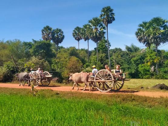 Best Planning Customized Cambodia Trip 1 Week