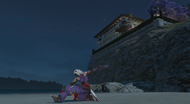 Screenshot of Camellia, a Hrothgar girl, doing martial arts training