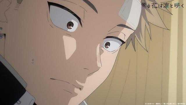 Anticipation Builds for 'A Fragrant Flower Blooms Gracefully' Anime Release