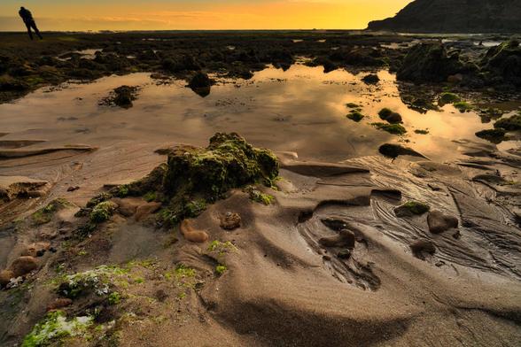 Bridgewater Bay, nestled in Blairgowrie on Victoria’s Mornington Peninsula, offers a captivating blend of rugged coastal beauty and natural serenity. This secluded bay is renowned for its expansive rock pools, best explored at low tide, revealing a vibrant marine ecosystem teeming with sea sponges, kelp, and various marine life . The bay's natural amphitheater is framed by impressive sandstone cliffs, providing a dramatic backdrop to the sandy beach nestled between the rock formations. While the beach is unpatrolled and considered dangerous for swimming due to exposed rocks and surf, it remains a popular spot for families and nature enthusiasts seeking to explore its unique geological features . Access to Bridgewater Bay is via a 15-minute walk from a small car park at the end of St Johns Wood Road, leading through sandy and rocky paths to this hidden gem