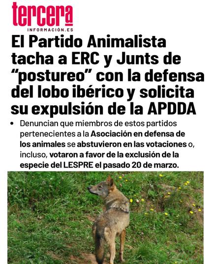 Captura de pantalla de una noticia de Tercer Información, con el titular "El Partido Animalista tacha a ERC y Junts de "postureo" con la defensa del lobo ibérico y solicita su explulsión de la APDDA". El subtítulo dice "Denuncian que miembros de estos partidos pertenecientes a la Asociación en defensa de los animales se abstuvieron en las votaciones o, incluso, votaron a favor de la exclusión de la especie del LESPRE el pasado 20 de marzo".