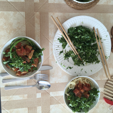 Spaghetti with tomatoes, tofu and lots of dill and coriander