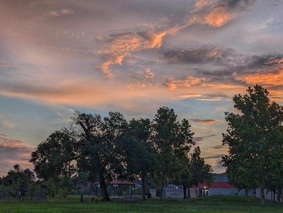 A cloudy dawn sky in pinks and blue grays above a dark treeline.