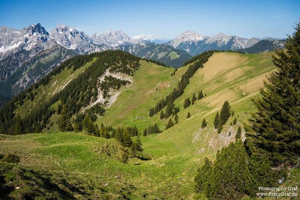 A breathtaking scene of lush green hills dotted with trees, set against a backdrop of majestic mountains in the distance. The landscape is serene and picturesque, with a vibrant yellow color dominating the foreground and background. The image captures the essence of nature at its finest, showcasing a mix of highland terrain, grassy slopes, and wild wilderness. The clear blue sky above complements the snowy peaks of the mountains, creating a harmonious balance between earth and sky. A single tre…