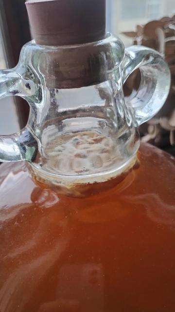 A demijohn of cider with a suspicious growth on top.