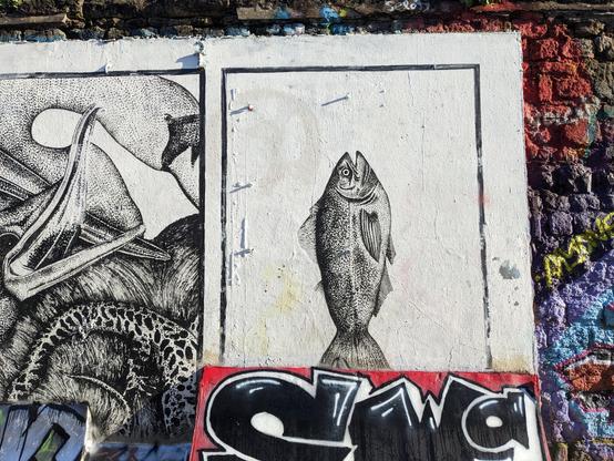 A fish