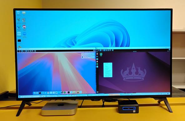 Windows Desktop with Two Kiwi Desktops