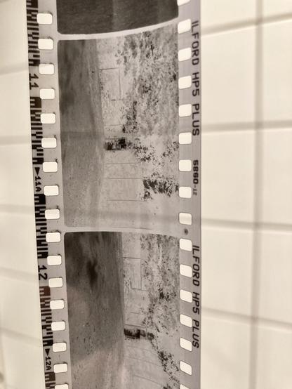 Film hanging to dry.