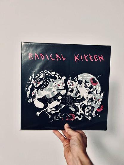 Un vinyle qui s’appelle radical kitten
