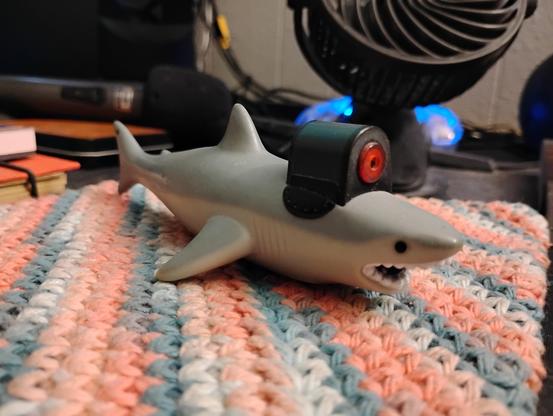 An image of a laser pointer in the shape of a shark with laser beam in the vein of Dr. Evil from Austin Powers.