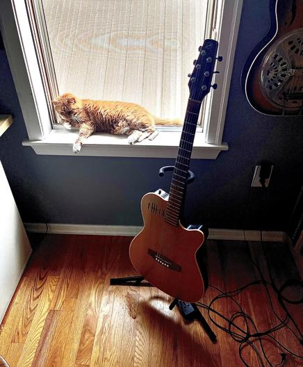A little ginger cat lies in the corner of a screened open window. In the foreground, a Godin Seagull semi-acoustic electric guitar sits on a stand. To the right of the window frame, a vintage Regal resonator guitar hangs on the wall.