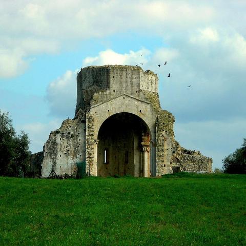 View of a ruined medieval church on a green field, with a clouded sky in the background. Several crows are flying near the top of the ruin. The ruin consist mainly of the remains of the arches that once held up a lost cupola at the intersection between the main nave and the transept.
