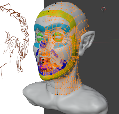 An Blender sculpted woman bust with low poly mesh following the painted retopology zones.