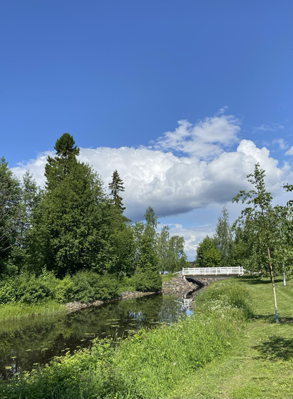 Fluss, Brücke, Bäume, Grünpflanzen, blauer Himmel, weiße Wolken