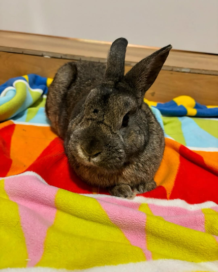 Meet Kevin 