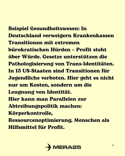 Hintergrund in hellem Gelb, darauf schwarzer Text in einem Block:  „Beispiel Gesundheitswesen: In Deutschland verweigern Krankenkassen Transitionen mit extremen bürokratischen Hürden – Profit steht über Würde. Gesetze unterstützen die Pathologisierung von Trans-Identitäten. In 13 US-Staaten sind Transitionen für Jugendliche verboten. Hier geht es nicht nur um Kosten, sondern um die Leugnung von Identität. Hier kann man Parallelen zur Abtreibungspolitik machen: Körperkontrolle, Ressourcenoptimierung, Menschen als Hilfsmittel für Profit.“  Unten mittig ist das schwarze MERA25-Logo, unten rechts steht die Seitenzahl „6“.