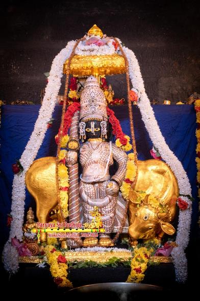Idol of Hindu deity Krishna in diamond-cladding standing with a matching crown and a similarly clad staff in left hand, left hand on front left waist. Krishna wears gold shoes and stands on a gold-covered slab. A string of green holy basil leaves along the slab along with assorted loose flowers. A string of yellow flowers (with spots of red roses) hangs down in U shape from the slab.

A gilded cow stands behind Krishna with its head to Krishna's left, head turned back as if to look at Krishna's feet. A thick string of yellow flowers (with spots of red roses) go up from Krishna's left, behind his neck, and flows back down on his right. A thick string of red roses shoulder-to-shoulder on Krishna going behind the crown.

A small gold umbrella above Krishna's head. A thick string of white flowers goes up Krishna's left side from the floor, over the umbrella, and back down on Krishna's right side all the way to the floor. Smaller strings of white flowers atop the umbrella.

Blue cloth background.
