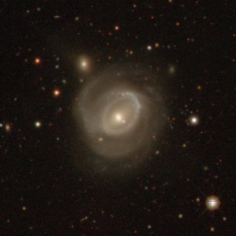 A face-on spiral galaxy in shades of muted yellow and cream has a bright central core, surrounded by an oval-shaped bright ring. The core is offset from the center of the ring to the bottom left. It looks a little like a fried egg. Outside of the ring are wispy spiral arms that are not well defined. The arms spiral clockwise from the edge of the ring. The background is dotted with yellow and orange stars and tiny background galaxies.