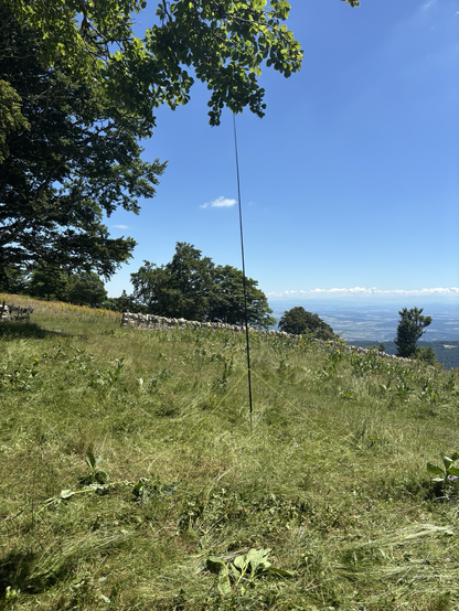 EFHW antenna with L-Match