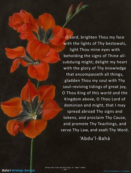 Oh Señor, ilumina mi rostro con las luces de Tus donaciones, ilumina mis ojos contemplando los signos de Tu poder que todo lo subyuga; deleita mi corazón con la gloria de Tu conocimiento que abarca todas las  cosas...

'Abdu'l-Bahá