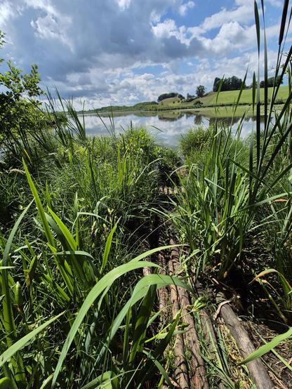 A serene and peaceful scene is captured in this image, showcasing a beautiful lake surrounded by lush green grass and trees. The colors in the image are predominantly shades of green, with a peaceful and harmonious ambiance. The sky above is partially covered with fluffy clouds, reflecting in the calm waters of the lake. The landscape is filled with natural beauty, with the grass swaying gently in the breeze. This tranquil setting is perfect for relaxation and enjoying the beauty of nature. Ove…