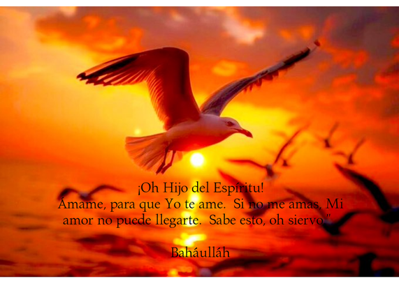 ¡Oh Hijo del Espíritu!

Ámame, para que Yo te ame.  Si no me amas, Mi amor no puede llegarte.  Sabe esto, oh siervo.

 Baháulláh - La Gloria de Dios