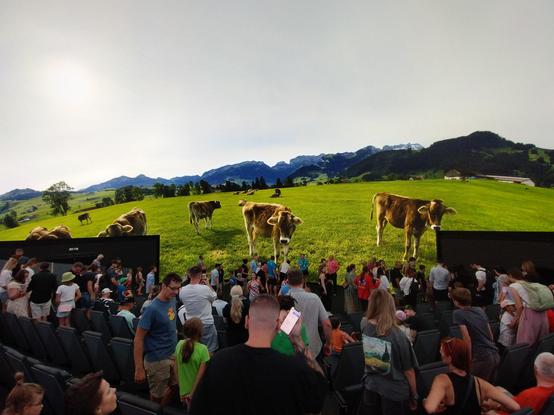 ...but once you enter, and see all the space beauty displayed by (millions?) of LEDs, you're lost, it is absolutely gorgeous 🙂 (Including the cows showed when the show is finished.)