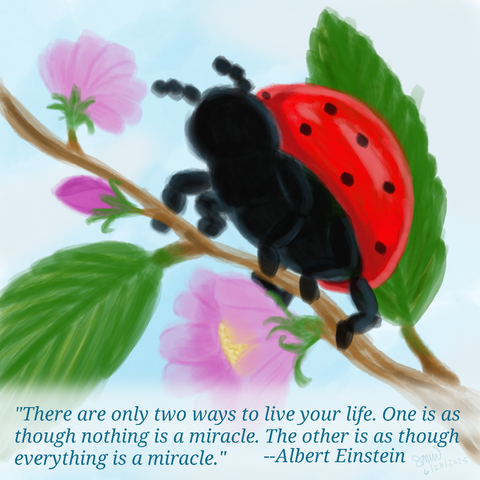 A red ladybug on a branch with two green leaves, two pink flowers (one has a yellow center) and a darker pink flower bud.

Blue text below the ladybug says, " 'There are only two ways to live your life. One is as though nothing is a miracle. The other is as though everything is a miracle.' --Albert Einstein."