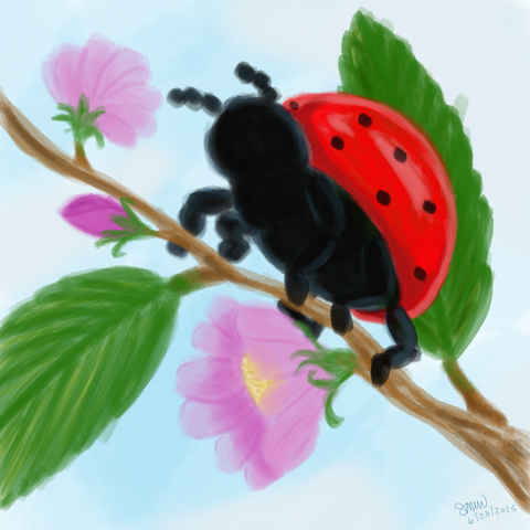 A red ladybug on a branch with two green leaves, two pink flowers (one has a yellow center) and a darker pink flower bud.