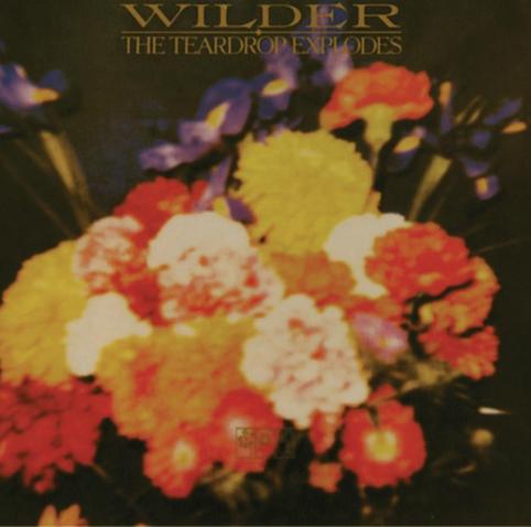 An image of the cover of the album 'Wilder' by The Teardrop Explodes