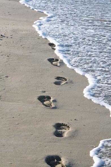 Footprints trail along a sandy beach as gentle waves wash ashore.