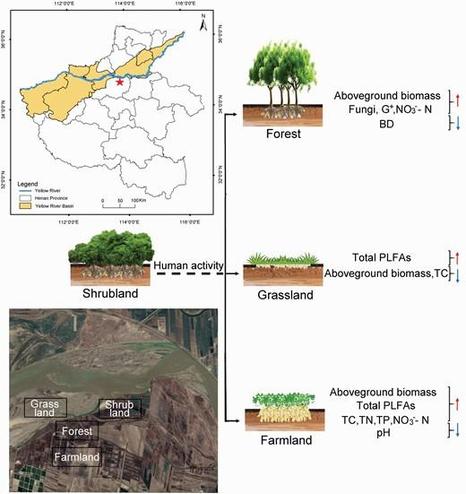 Maps and schematic diagram of land use types in the Yellow River floodplain.