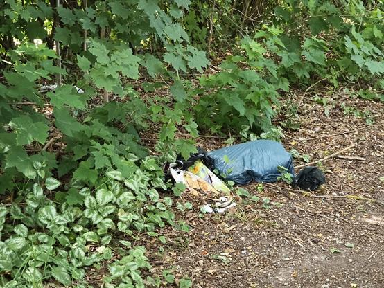 Trash dumped into the forest by ...