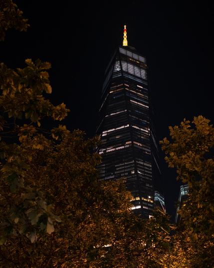 World Trade Center building at night, framed from below by some trees that appear dark orange/yellow in the streetlight illumination. 
