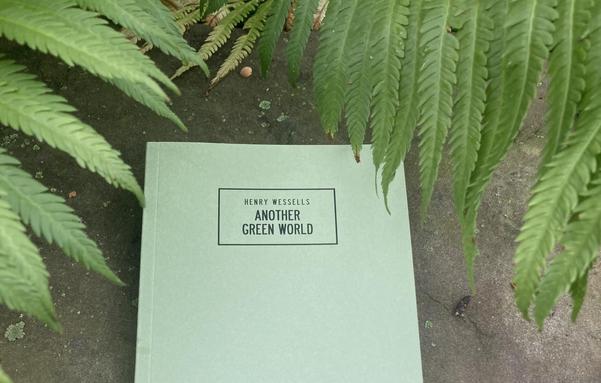 Another green world by Henry Wessells (2025)